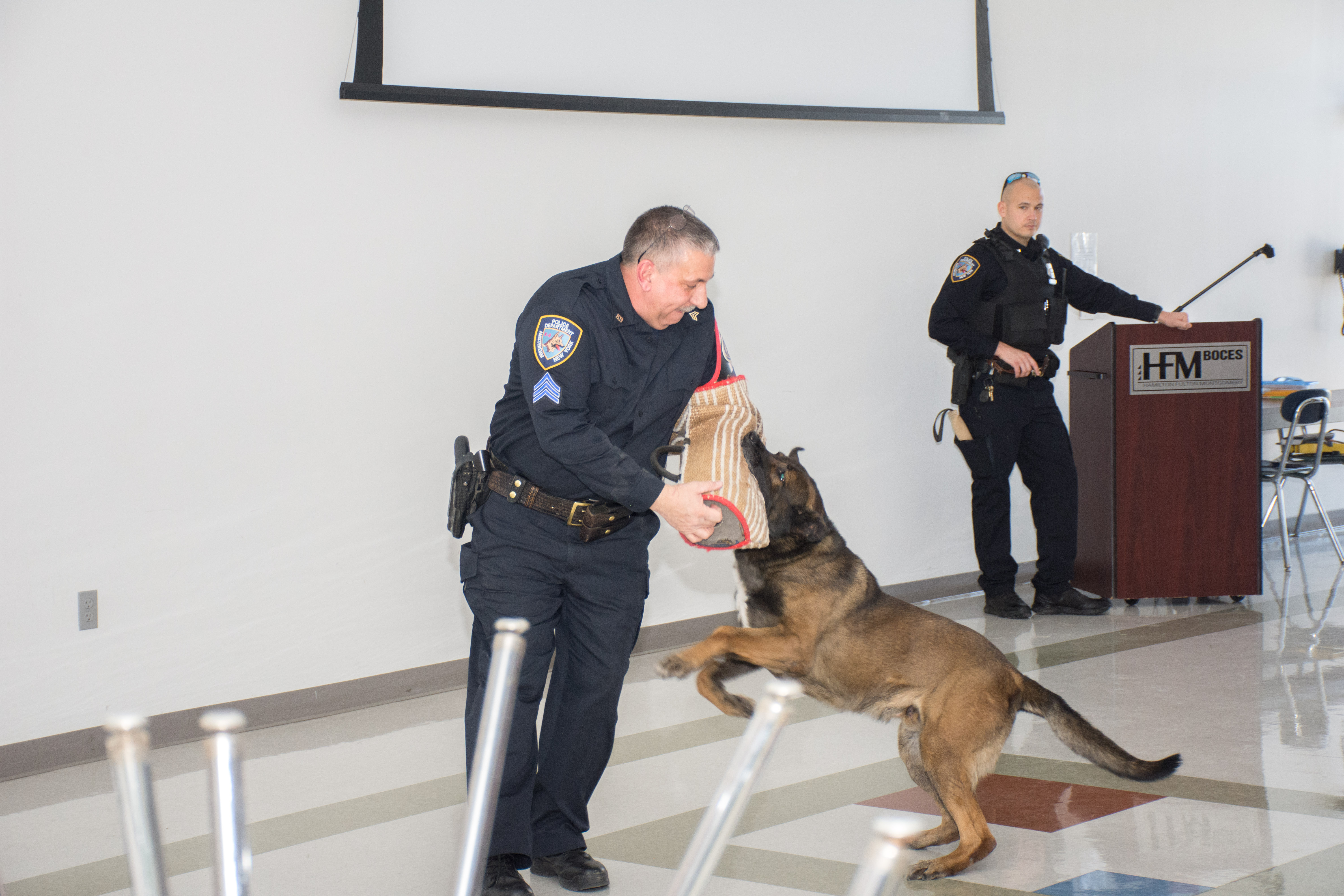 A police dog bites a protective sleeve wore by Sgt. Carl Rust. Another APD officer looks on.