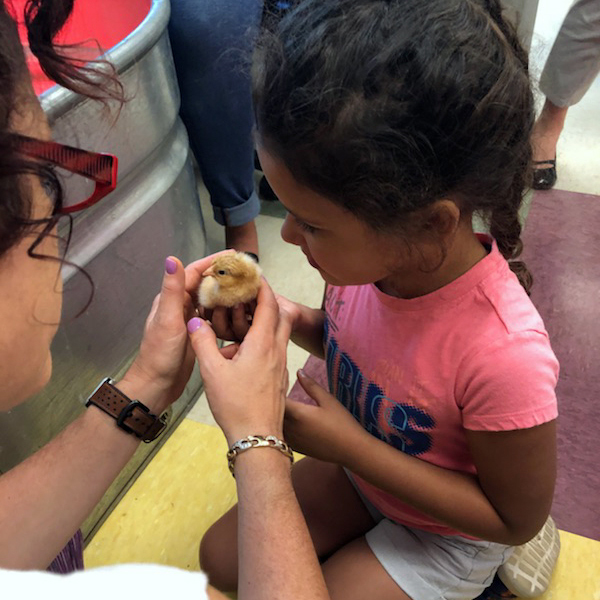 A teacher and a student hold a chick