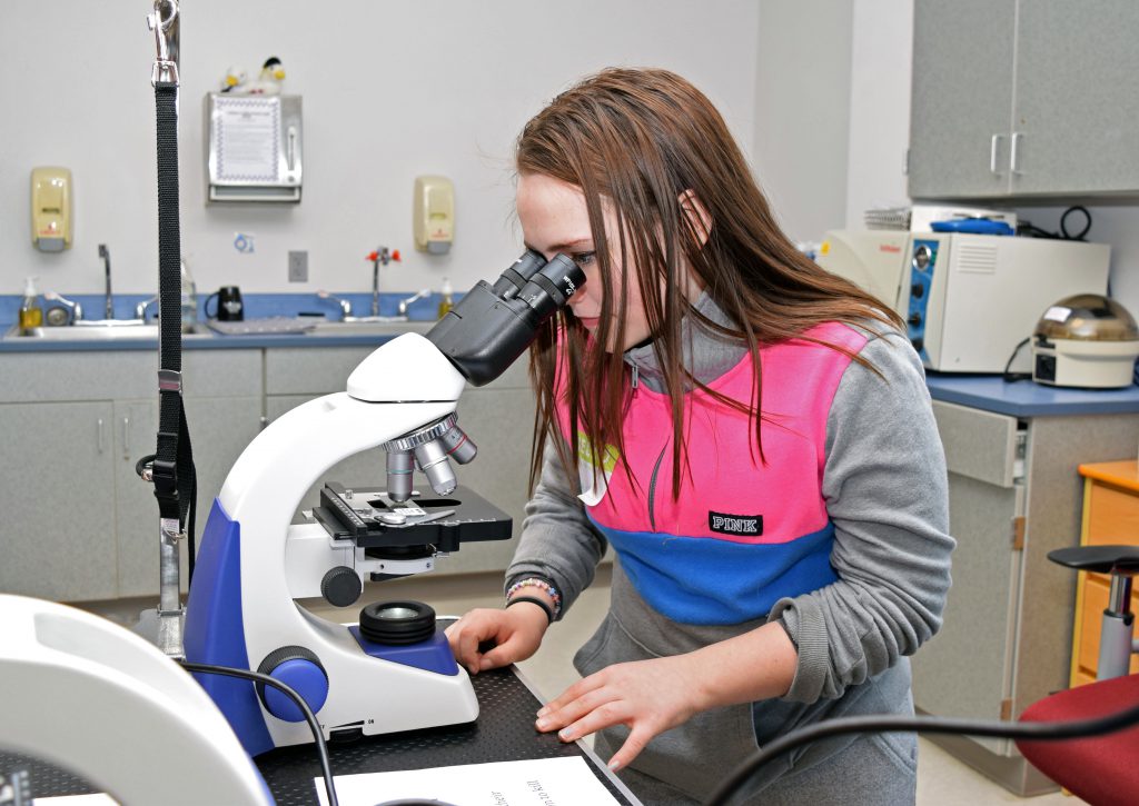 A student looks through a large microscope.