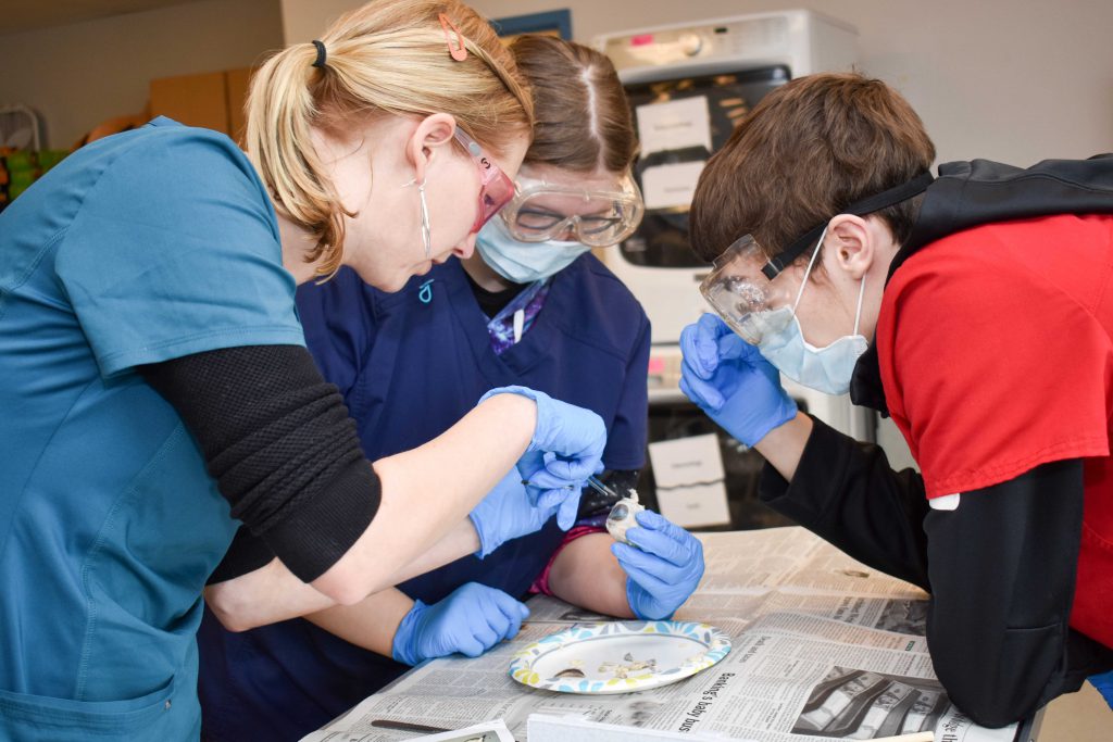An instructor dissects a cow eye with two students